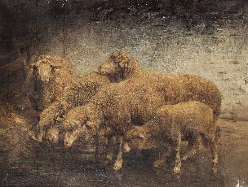 Heinrich von Angeli Sheep in a barn Norge oil painting art